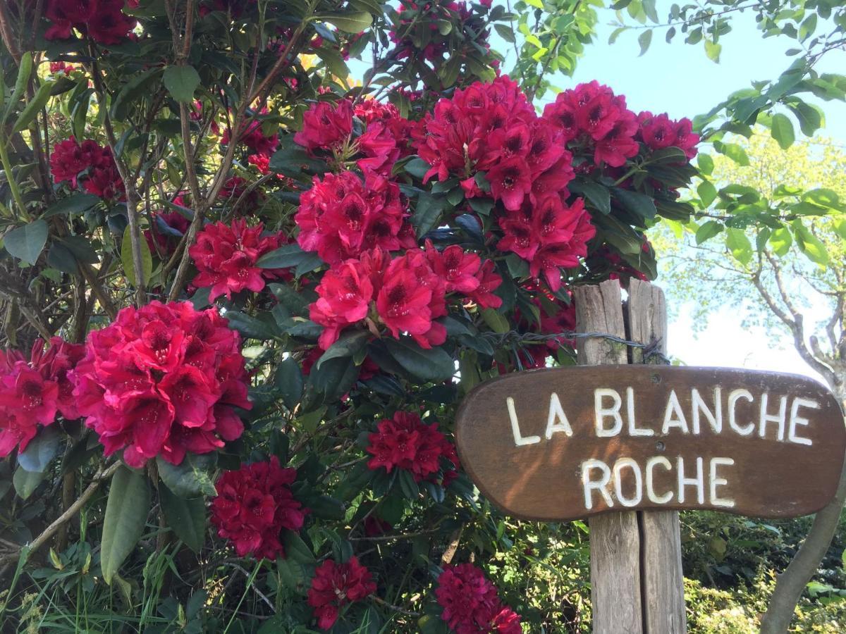 La Blanche Roche Acomodação com café da manhã Sourdeval Exterior foto